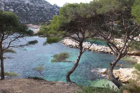 Mon Petit Paradis, Cassis Centre Apt 90 M2, 200 M Mer, Terr Plein Sud, Clim Park Prive Exterior foto
